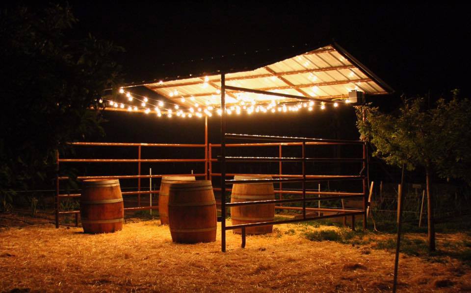 High Lonesome Ranch photo 9