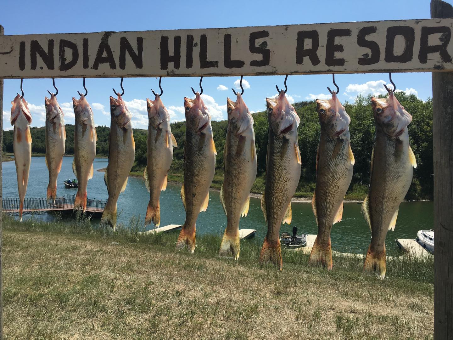 Indian Hills Resort photo 2