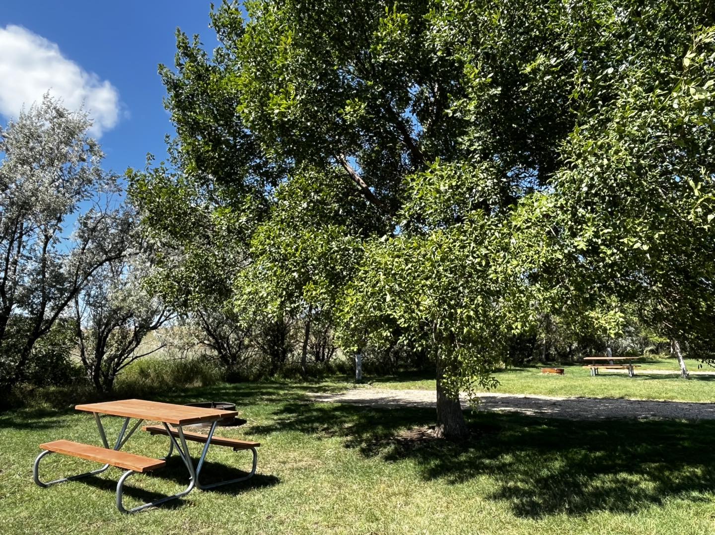 Indian Hills Resort photo 8