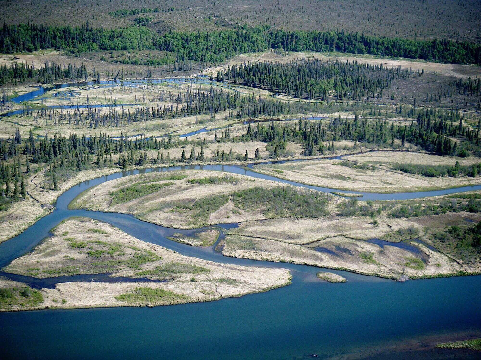 Alaska Trophy Adventures Lodge photo 10
