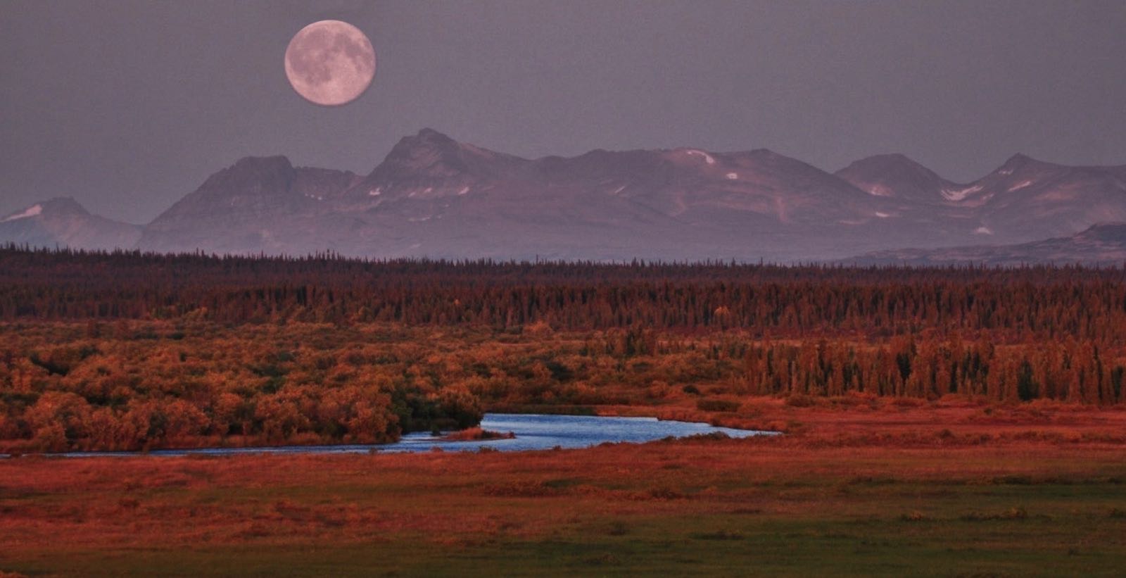 Alaska Trophy Adventures Lodge photo 3