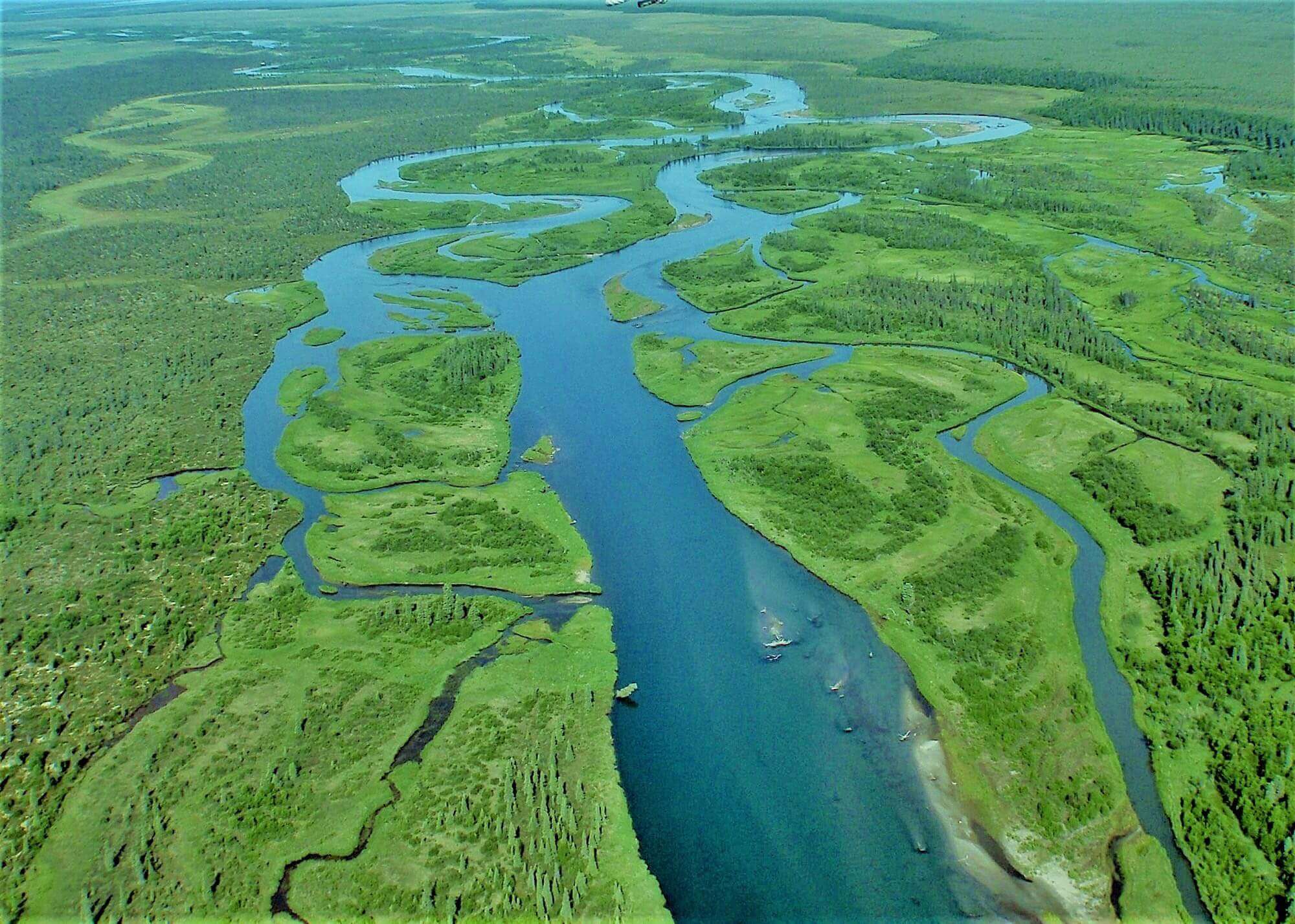 Alaska Trophy Adventures Lodge photo 13