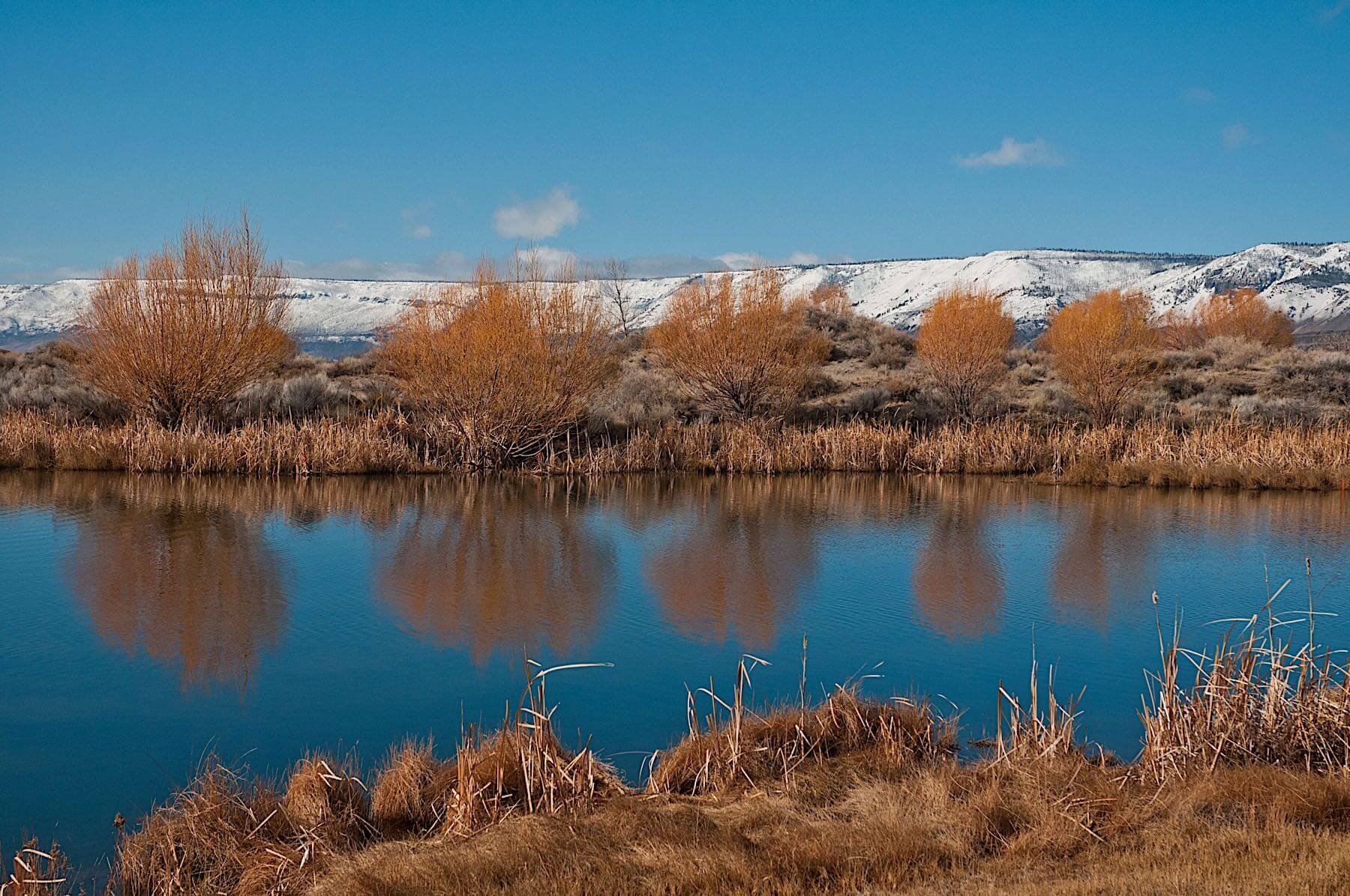 Lake in the Dunes photo 8