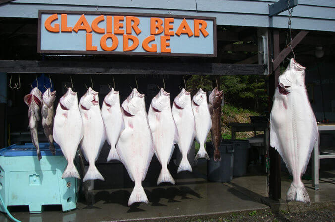 Glacier Bear Lodge photo 2