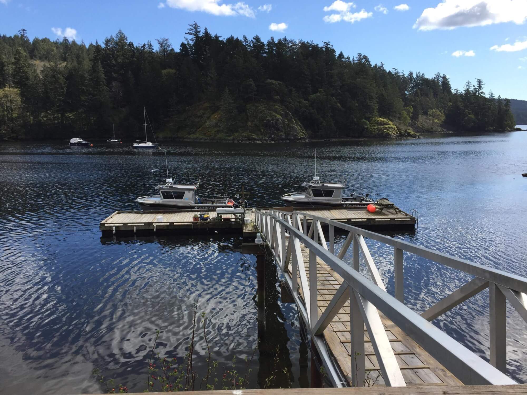 Vancouver Island Lodge photo 10