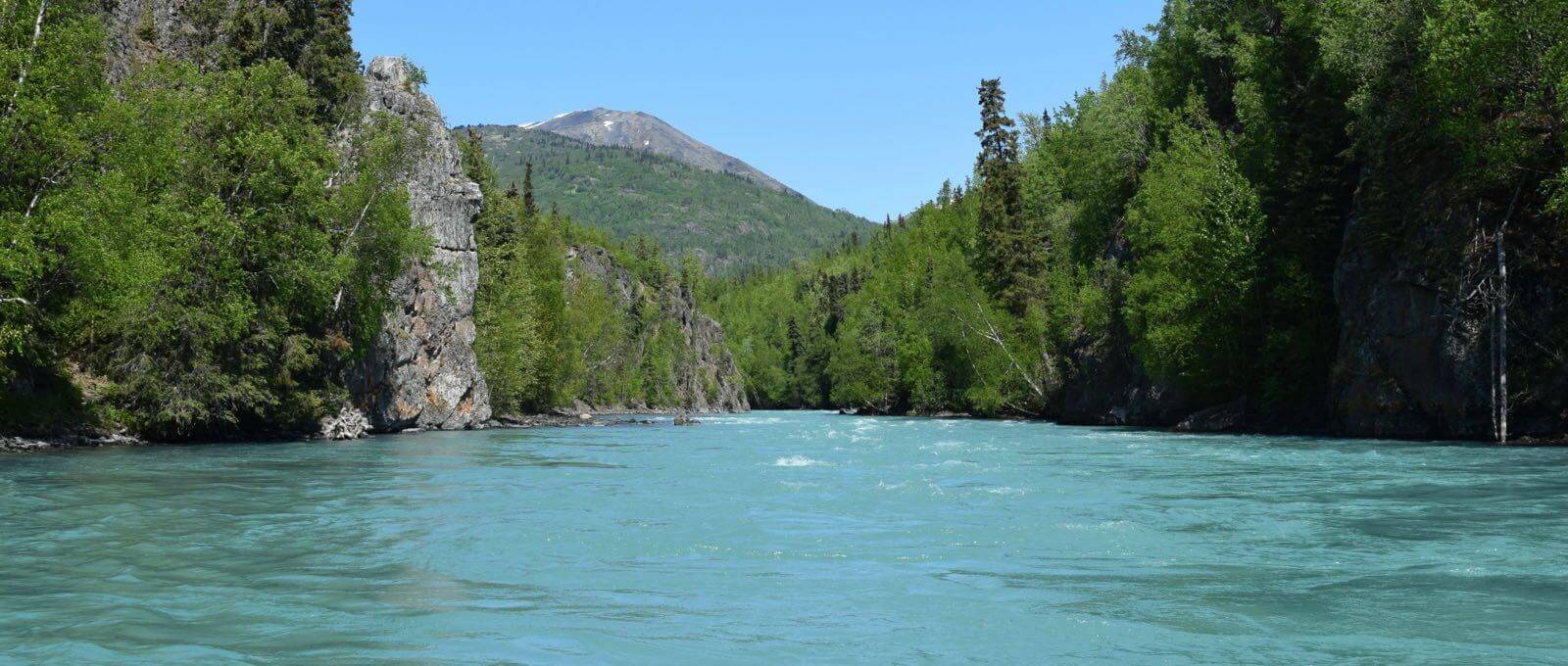 Kenai river salmon fishing