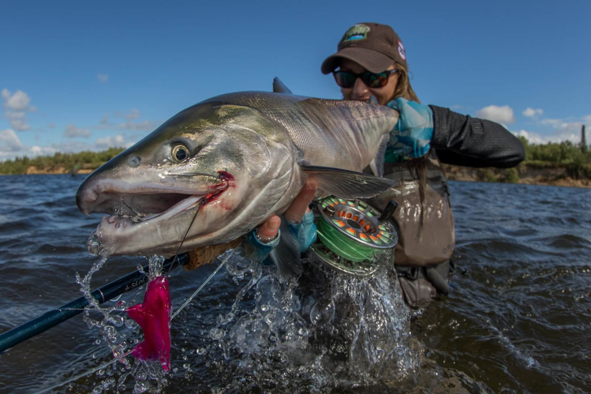 Fly Selection for Alaska Rainbow Trout 1
