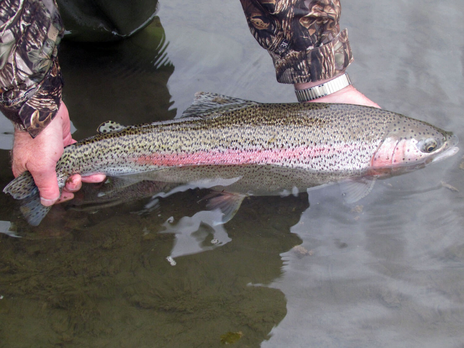 When is the best time to fish at Alaska fishing lodges? 2 alaska fishing lodges