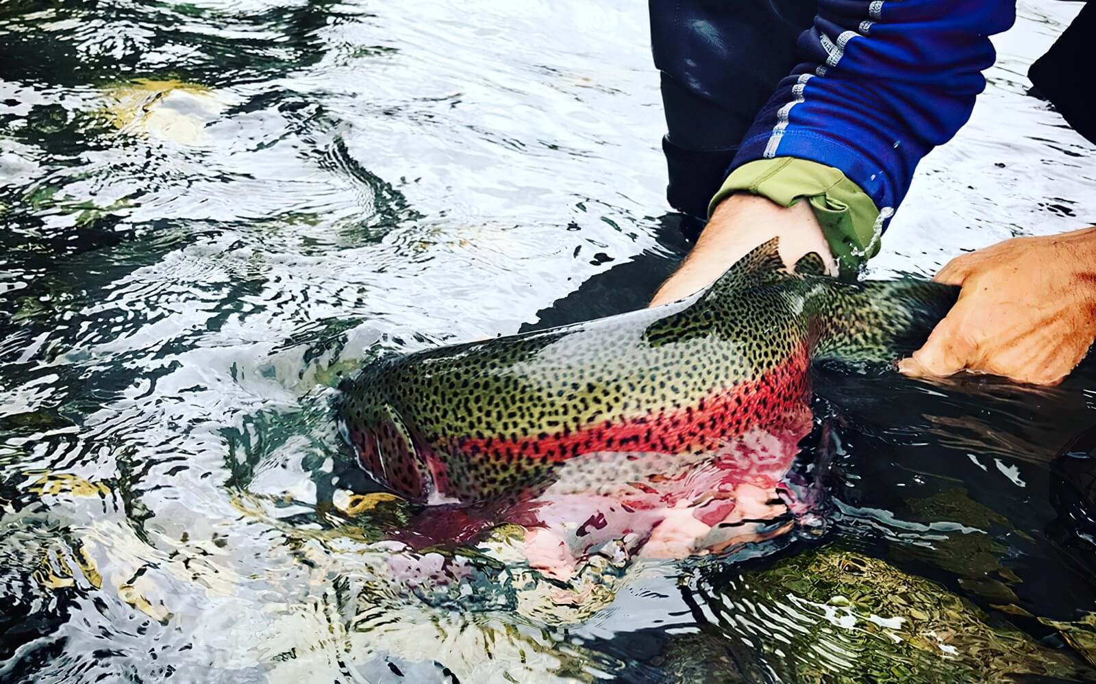 Remote Fishing on the Karluk River on Kodiak Island, Alaska 2