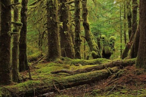 Haida Gwaii and the BC North Coast 1