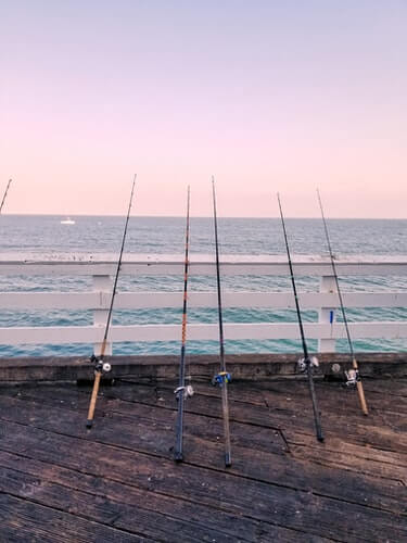 salmon fishing rod