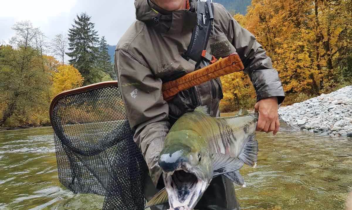 Fishing Trips in Southern British Columbia 4