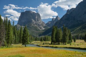 Man fly-fishing in river with Flat-Top Mountain in background, Wyoming