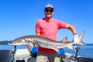 Fisherman with a large white sturgeon, displaying before returning to water as catch-and-release