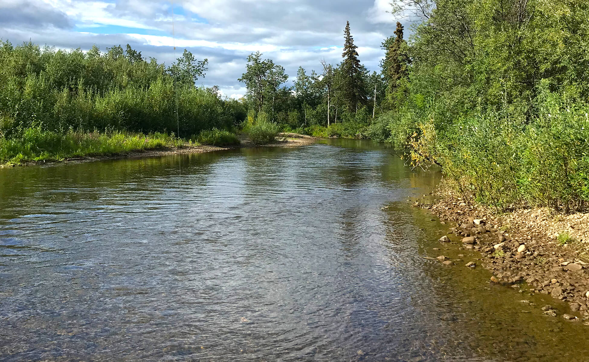 Jake’s Nushagak Salmon Camp photo 7