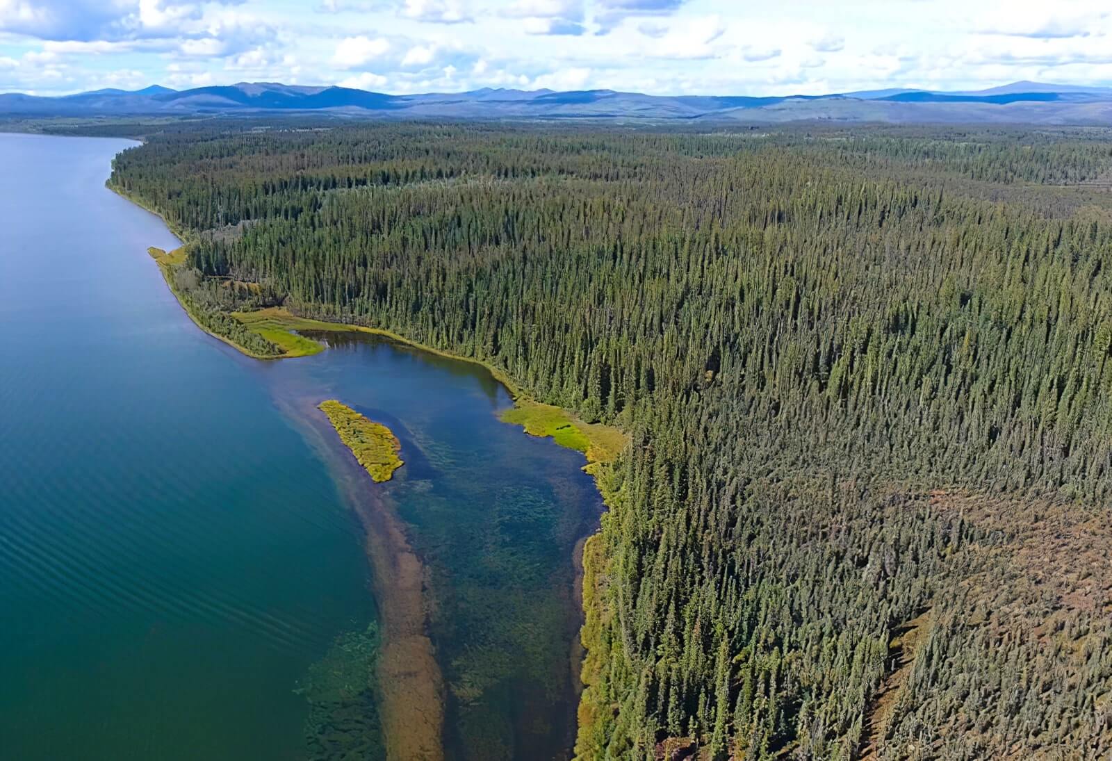 Kluane Wilderness Lodge photo 13