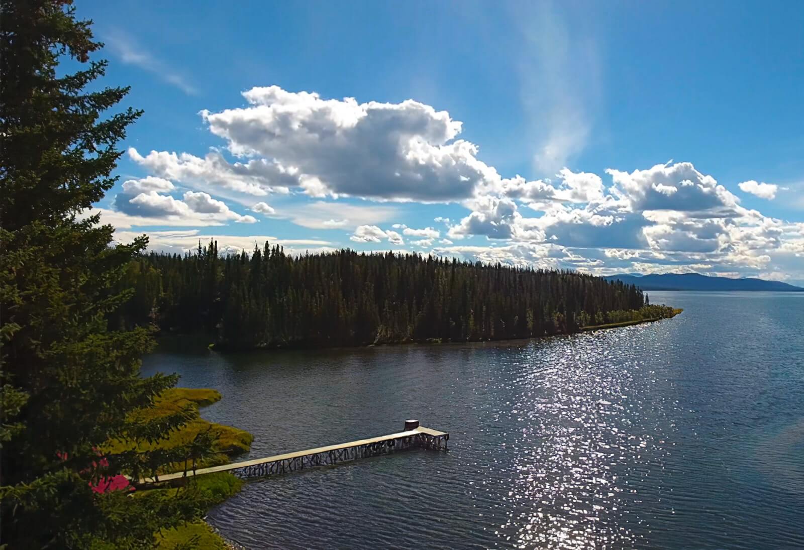 Kluane Wilderness Lodge photo 11