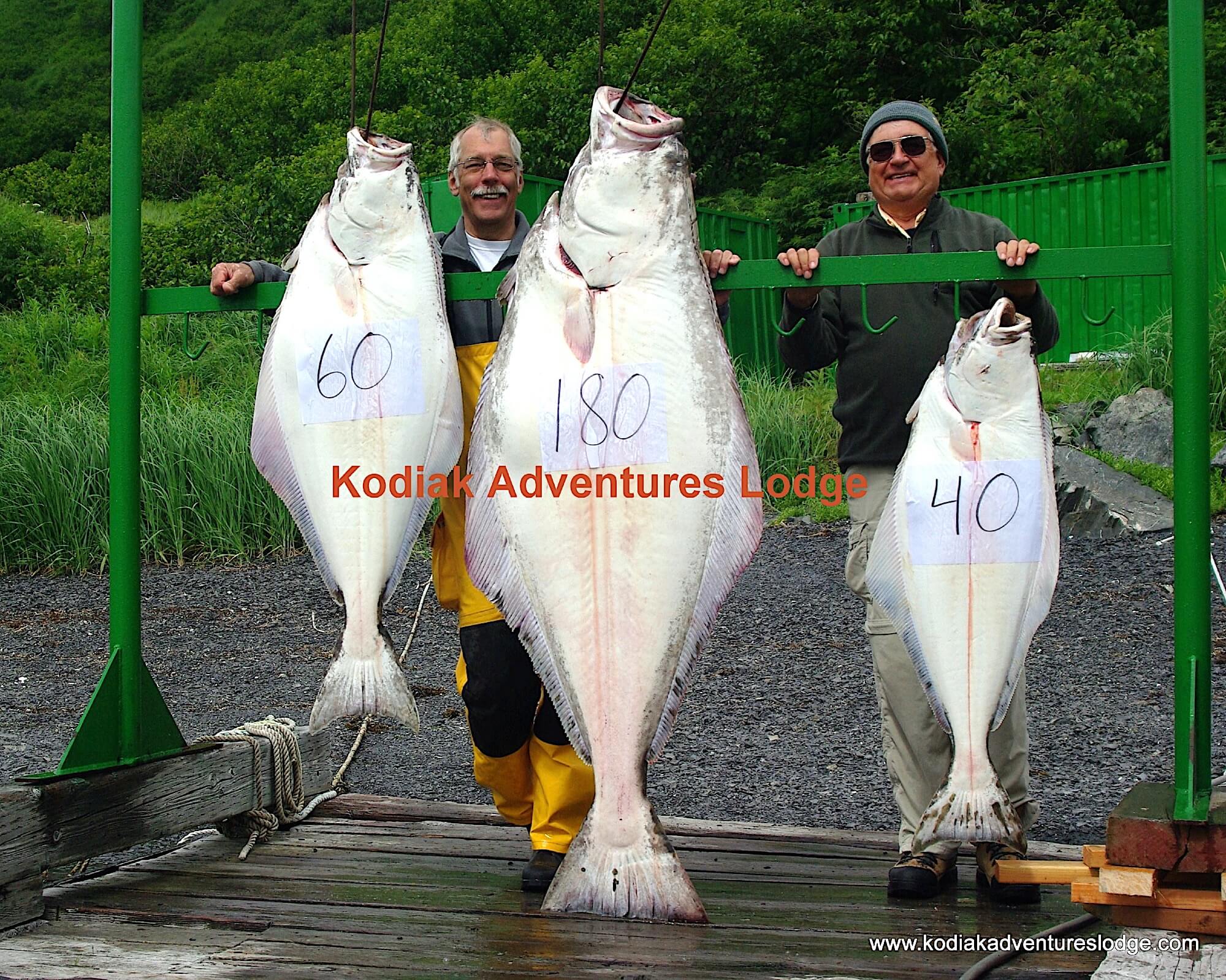 Kodiak Adventures Lodge photo 10