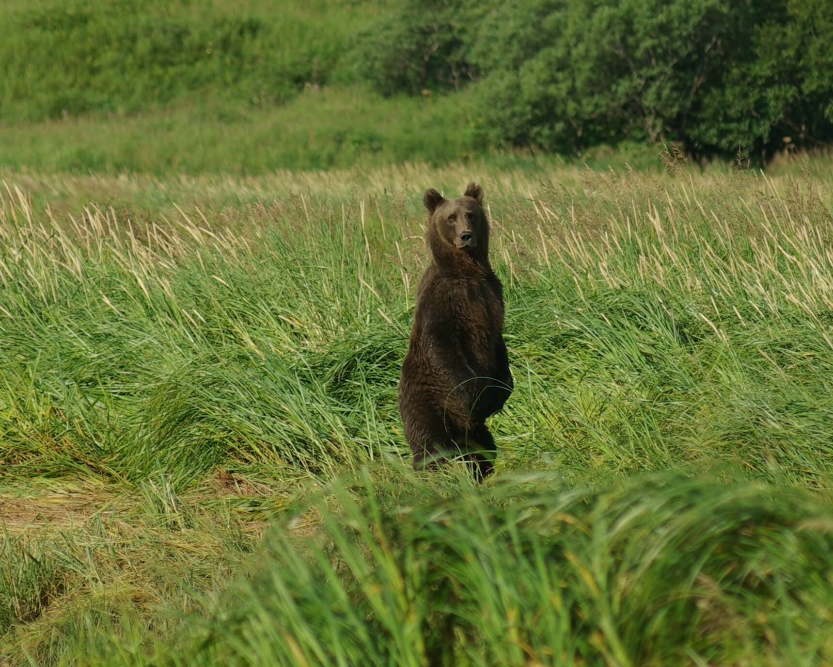 Kodiak Adventures Lodge photo 4