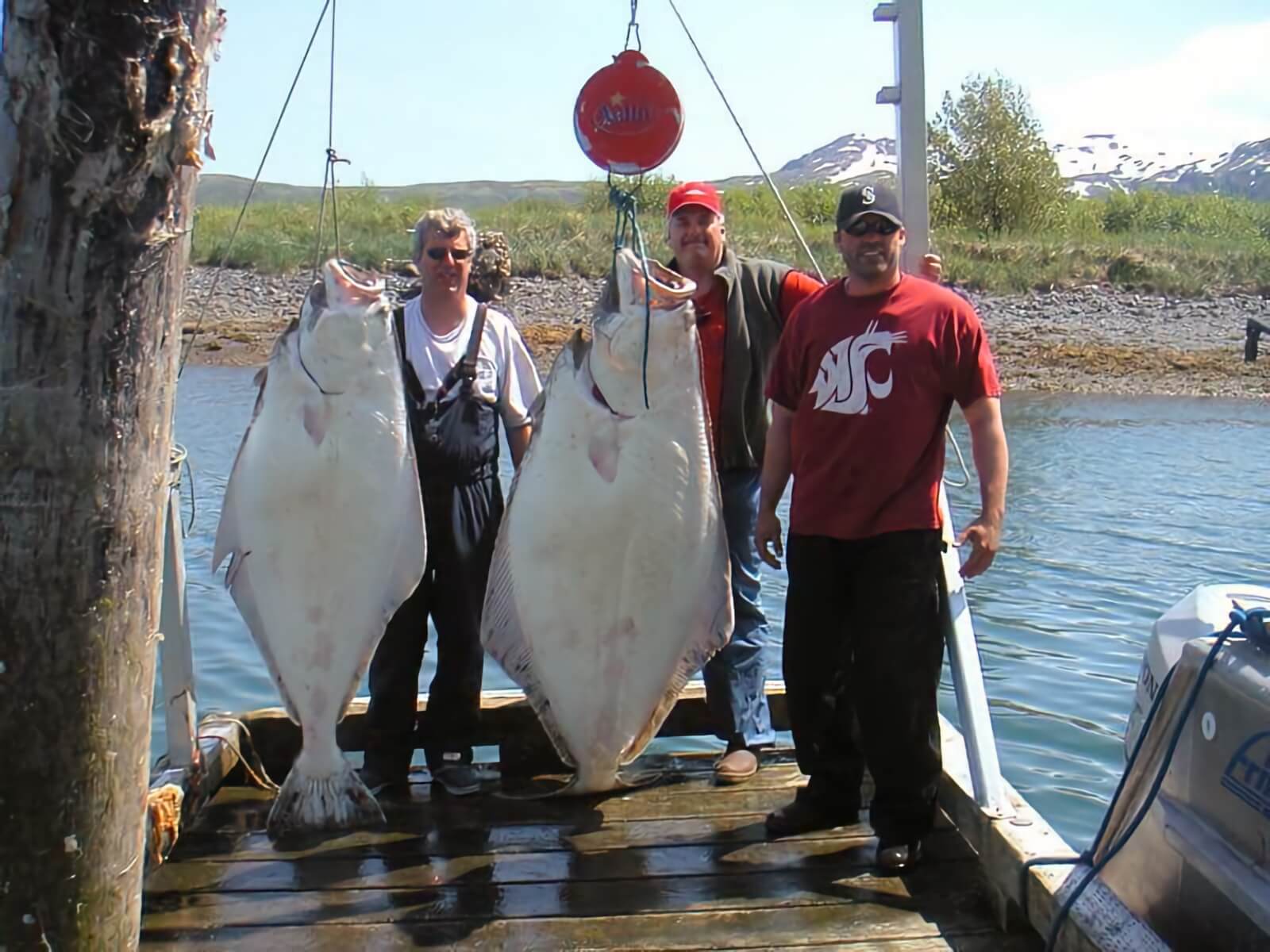 Kodiak Sportsman’s Lodge photo 13