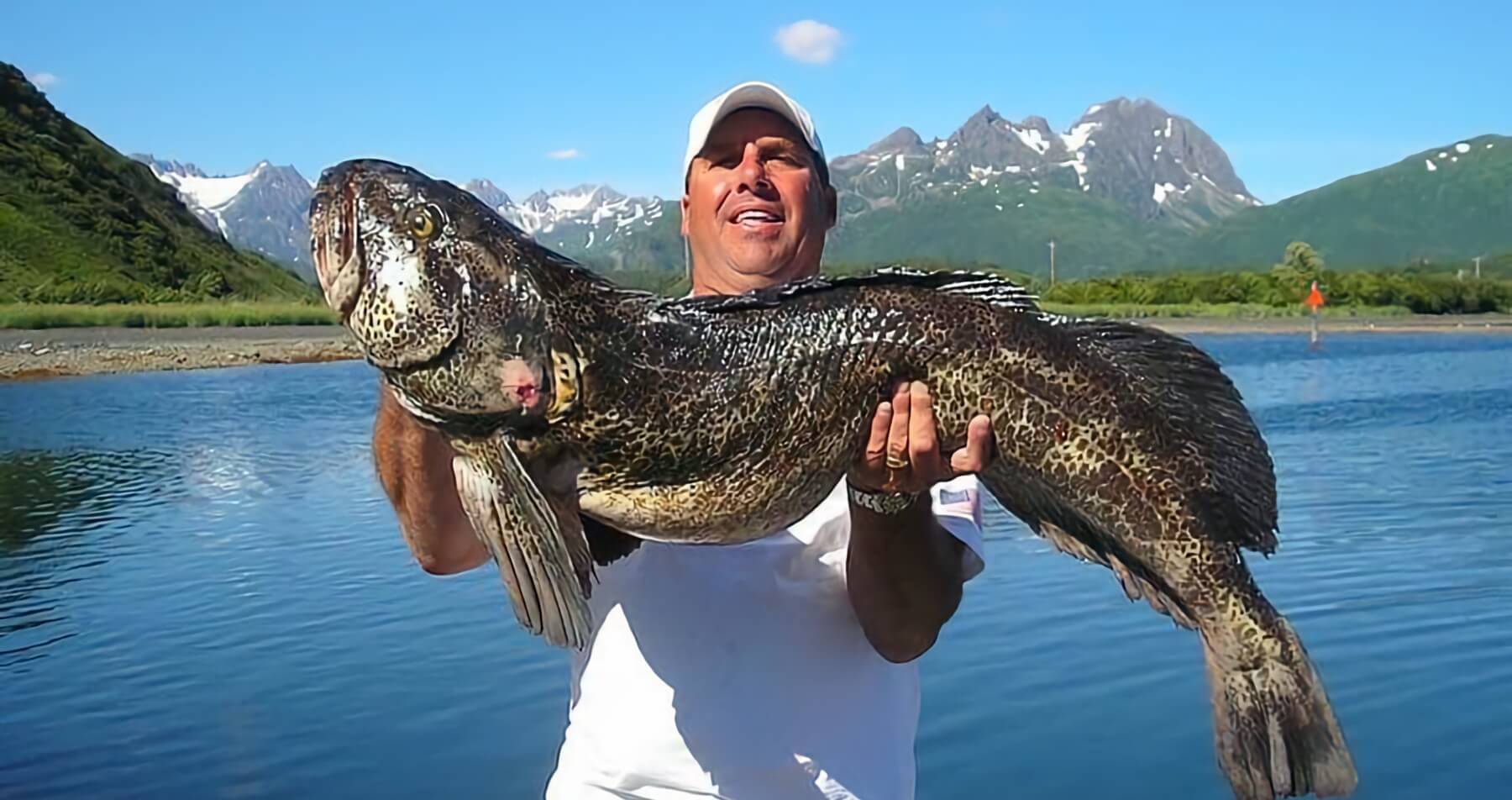 Kodiak Sportsman’s Lodge photo 11