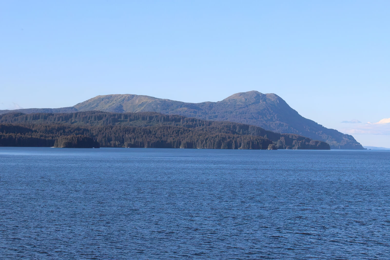 Kodiak Wilderness Adventures photo 5