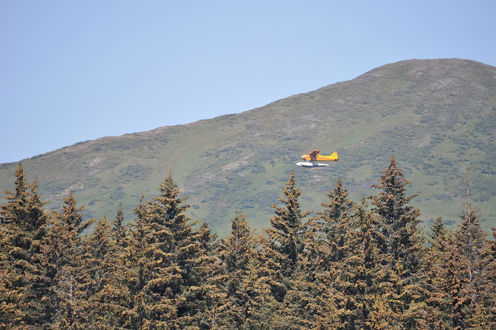 Kodiak Wilderness Adventures photo 2