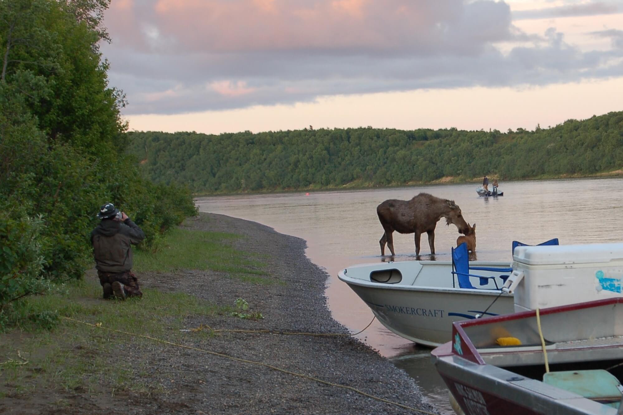 King Salmon Outfitters photo 2