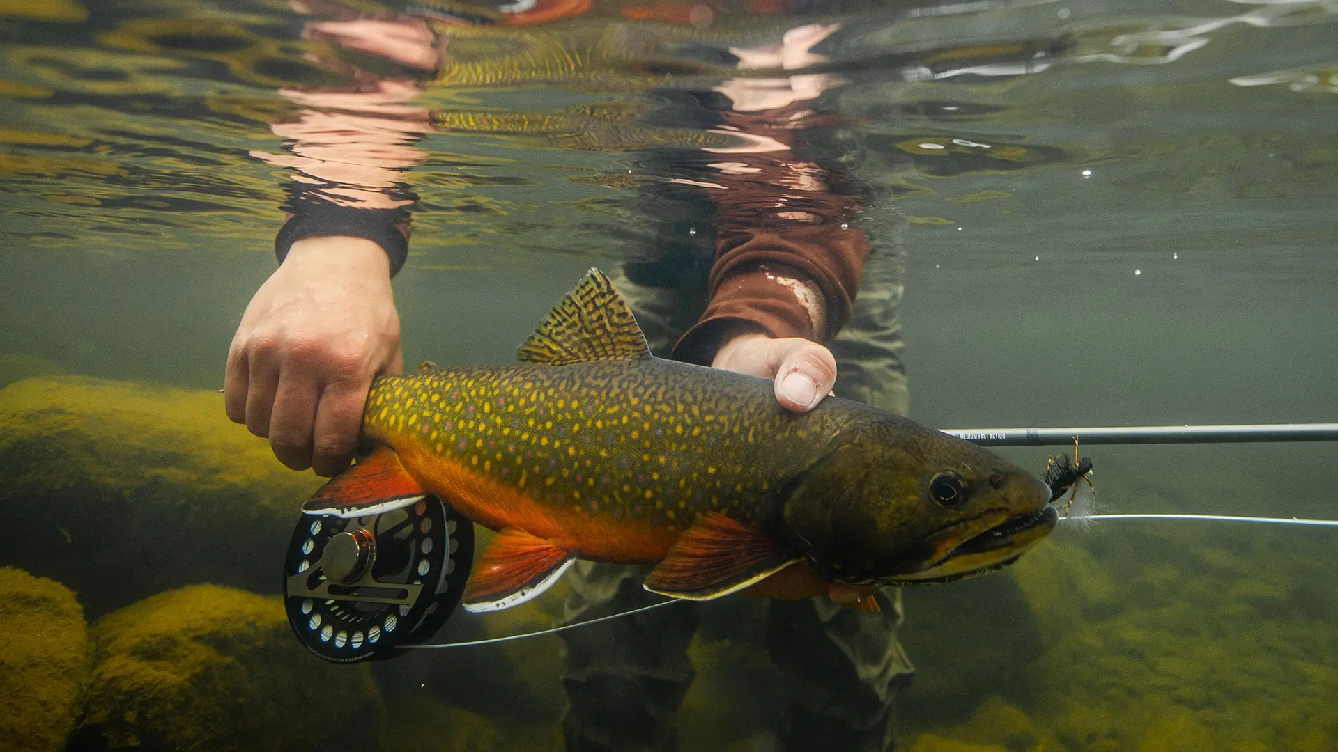 Leaf River Lodge photo 7