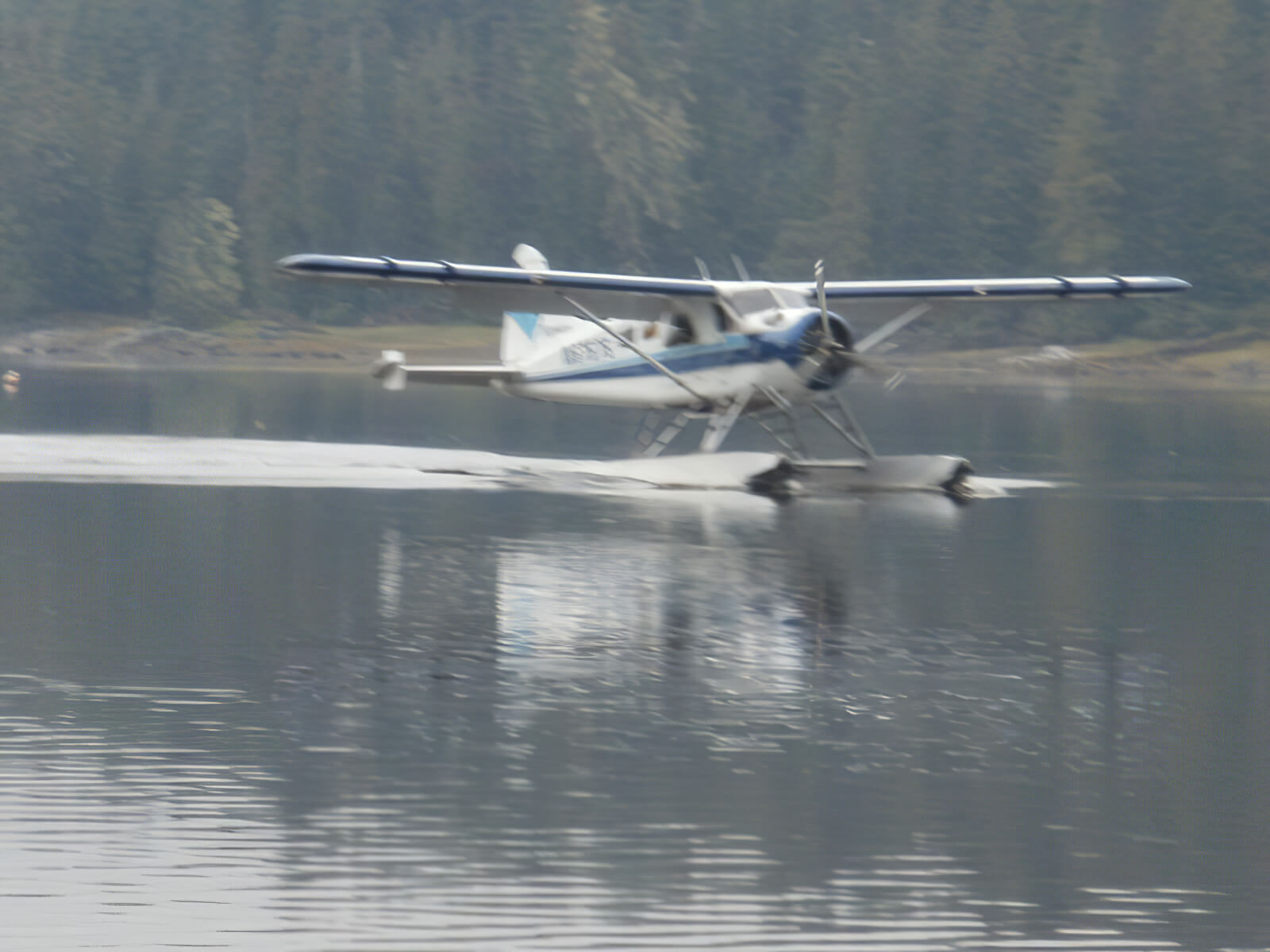 L & W Fishing Adventures photo 7