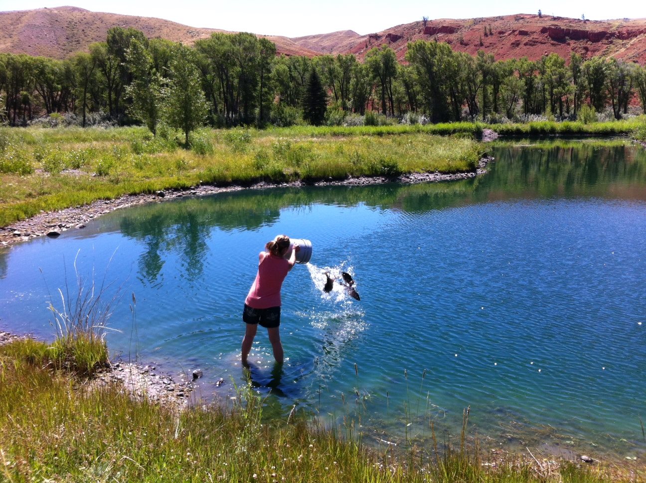 Lazy L&B Ranch photo 12