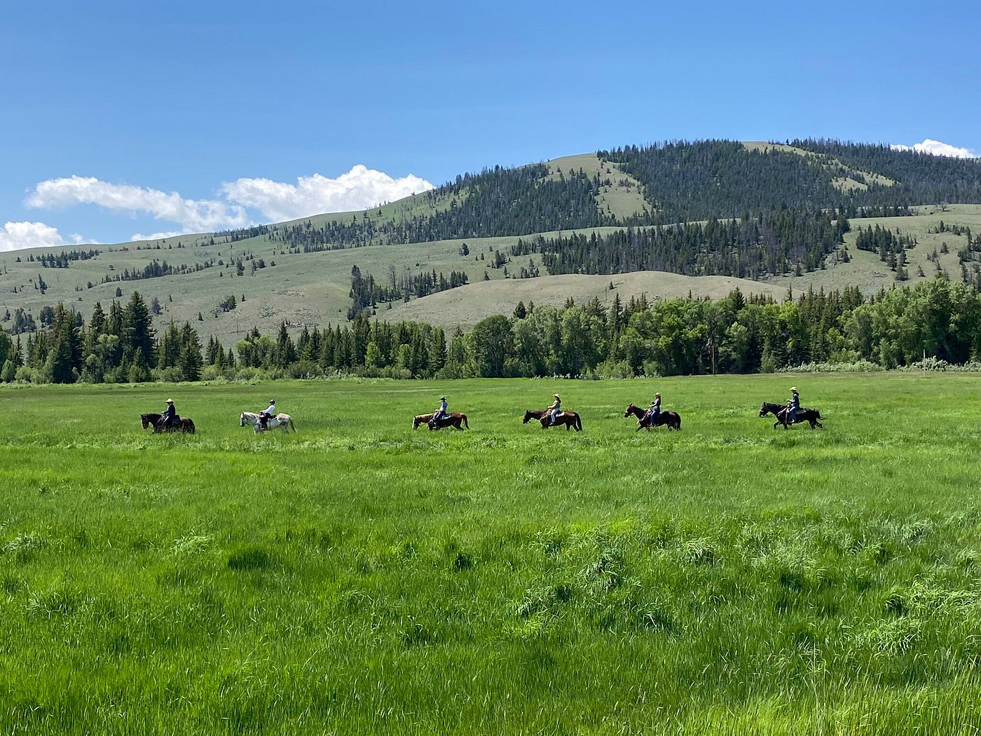 Lazy L&B Ranch photo 5