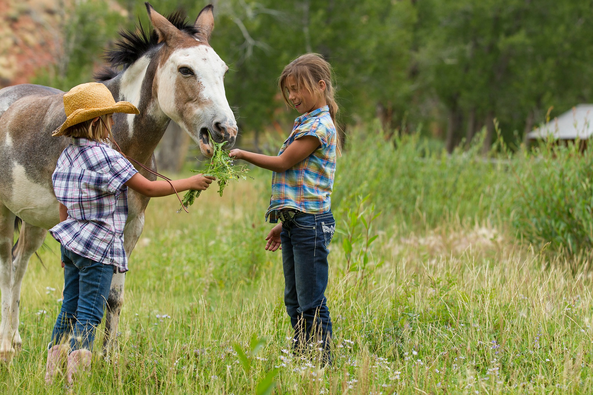 Lazy L&B Ranch photo 7
