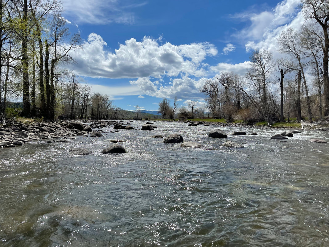 Montana Fly Fishing Lodge photo 10