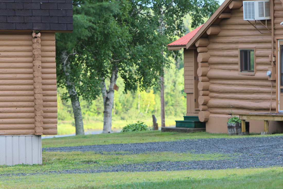 Miramichi Outdoors photo 9