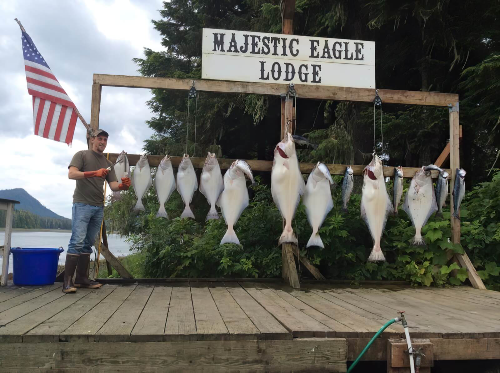 Majestic Eagle Lodge photo 9