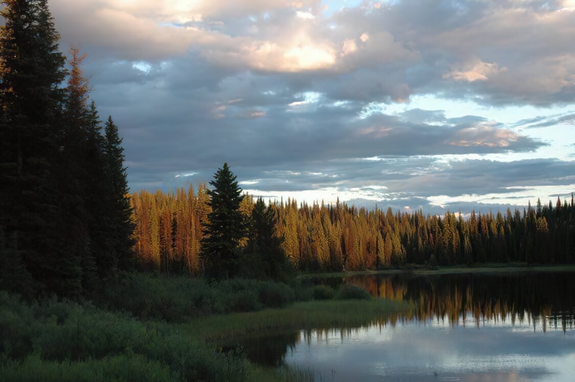 Meadow Lake Fishing Camp photo 6
