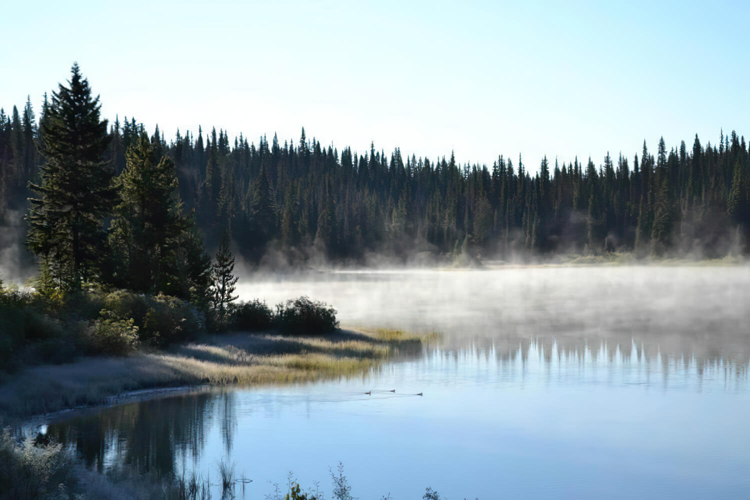 Meadow Lake Fishing Camp photo 3
