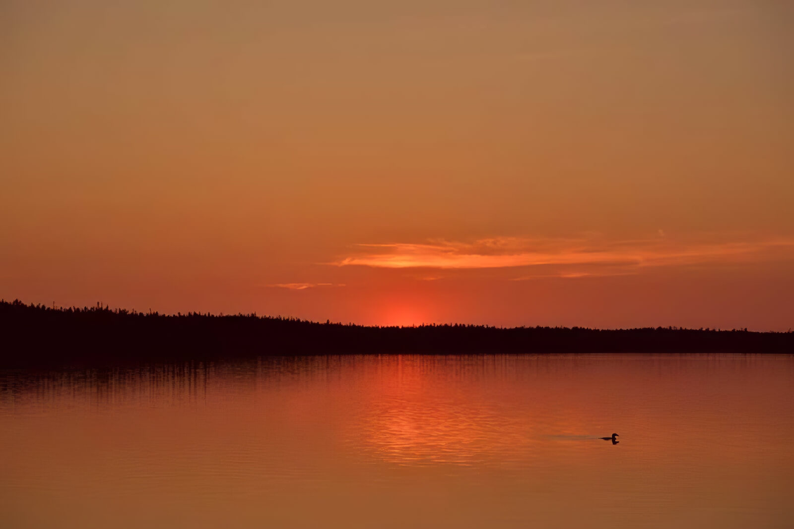 Namushka Lodge photo 8