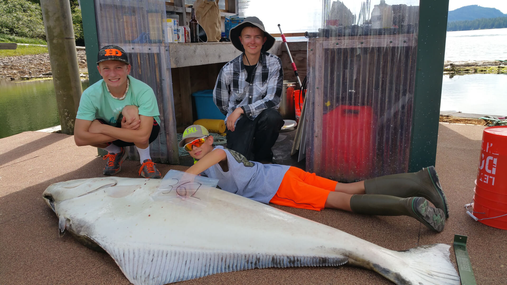 Naukati Bay Adventures photo 12