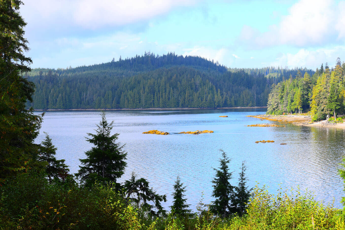 Naukati Bay Adventures photo 2