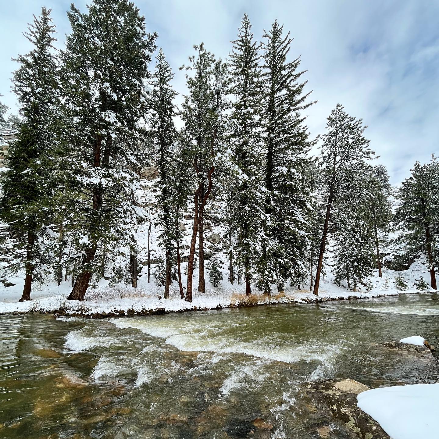 North Fork Ranch photo 11