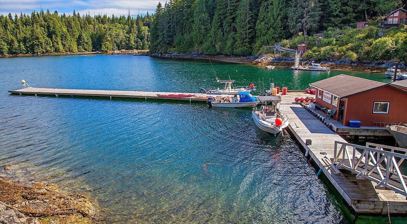 Nootka Island Lodge photo 6