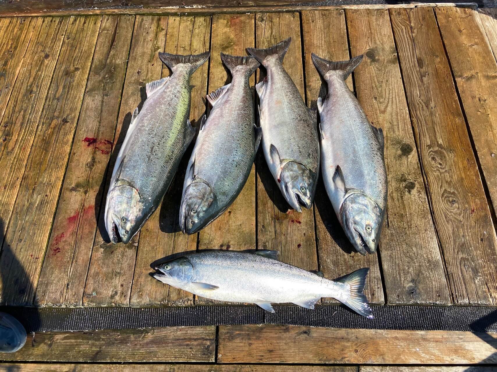 Nootka Sound Outpost photo 6