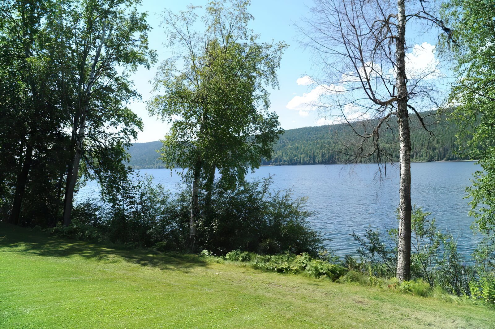 Northern Lights Lodge photo 12