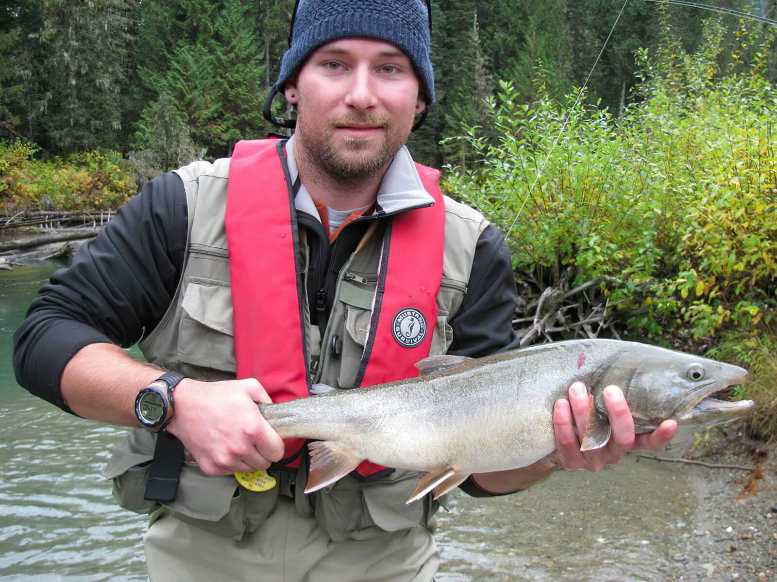 Northern Lights Lodge photo 13