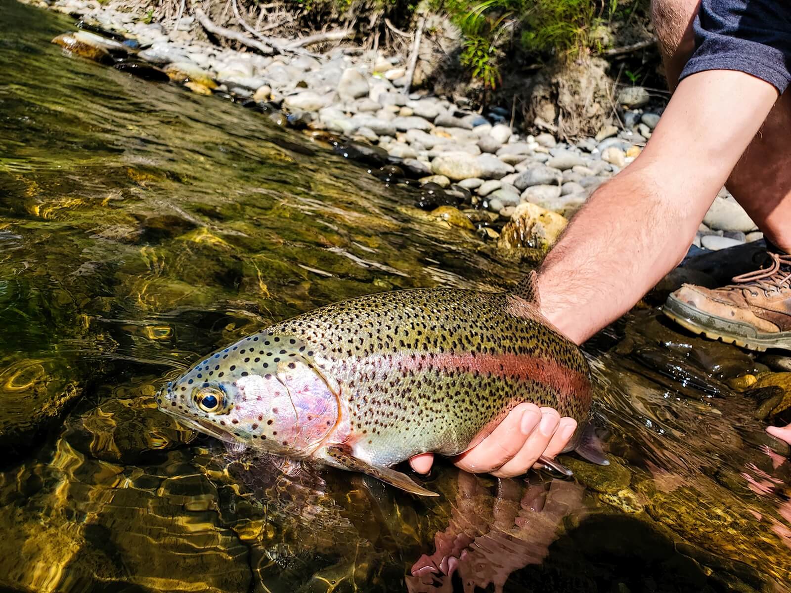 Northwoods Lodge photo 13