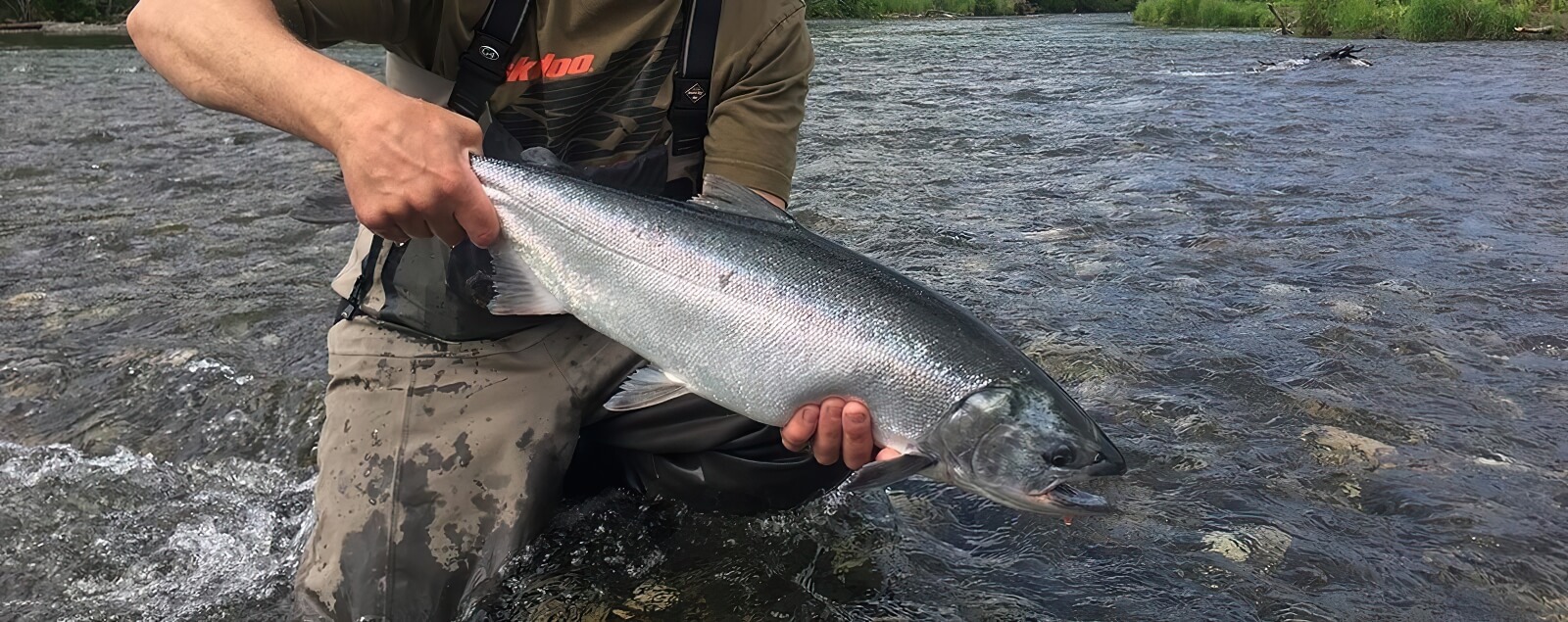 Northwoods Lodge