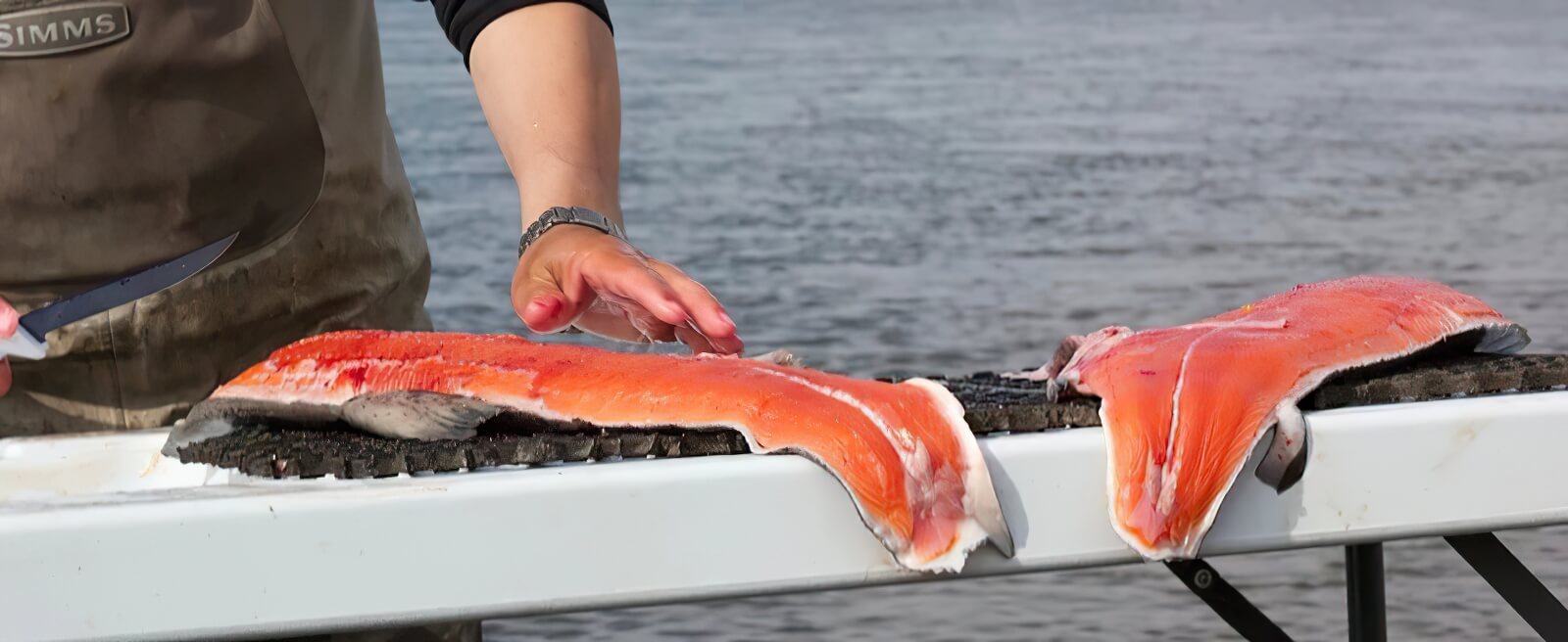 Nushagak King Salmon Safari photo 11