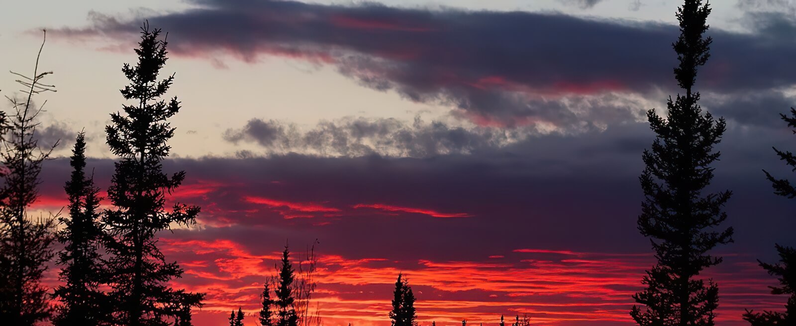 Nushagak King Salmon Safari photo 4